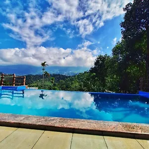 chalona-jungle-vibe.hotels-munnar.com/