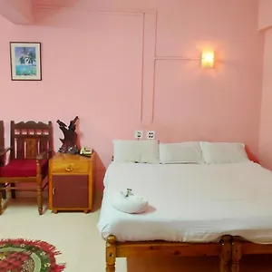 munnar-downtown-hotel.hotels-munnar.com/